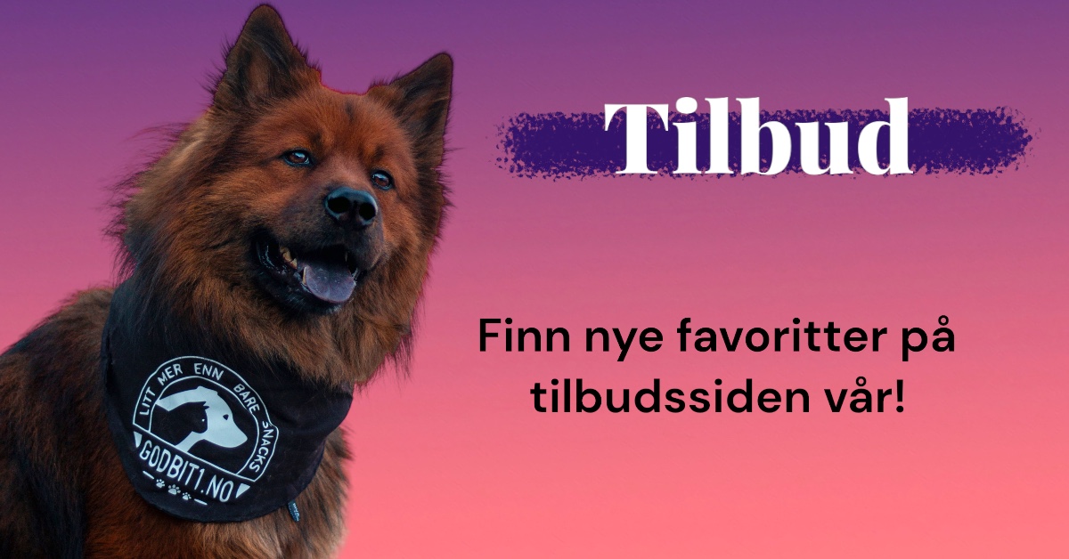 tilbud 